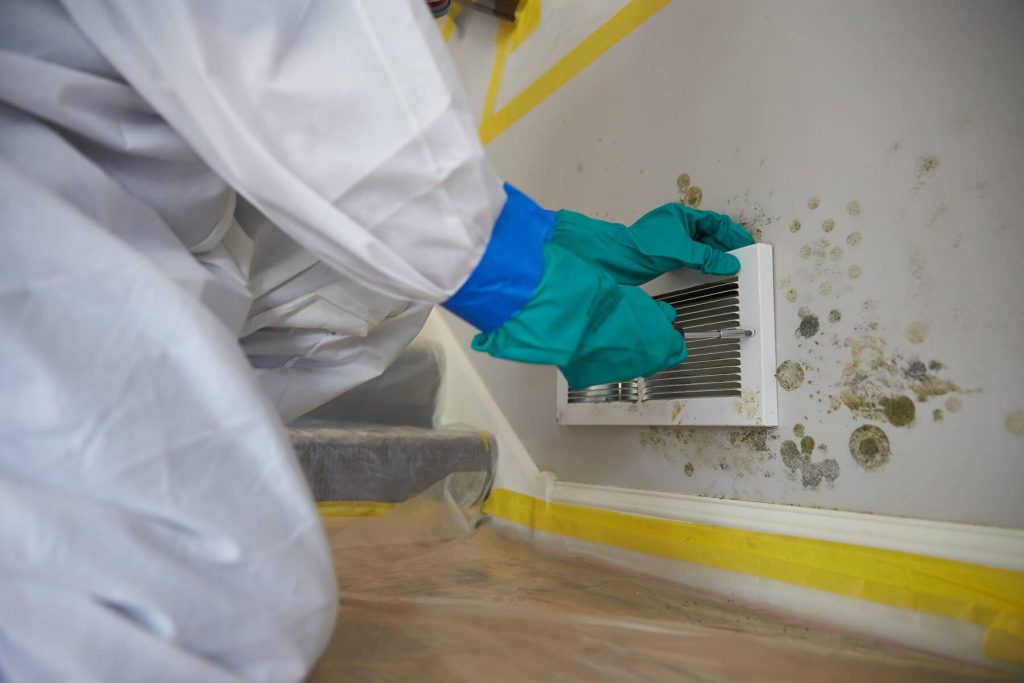 Mold Remediation Services
