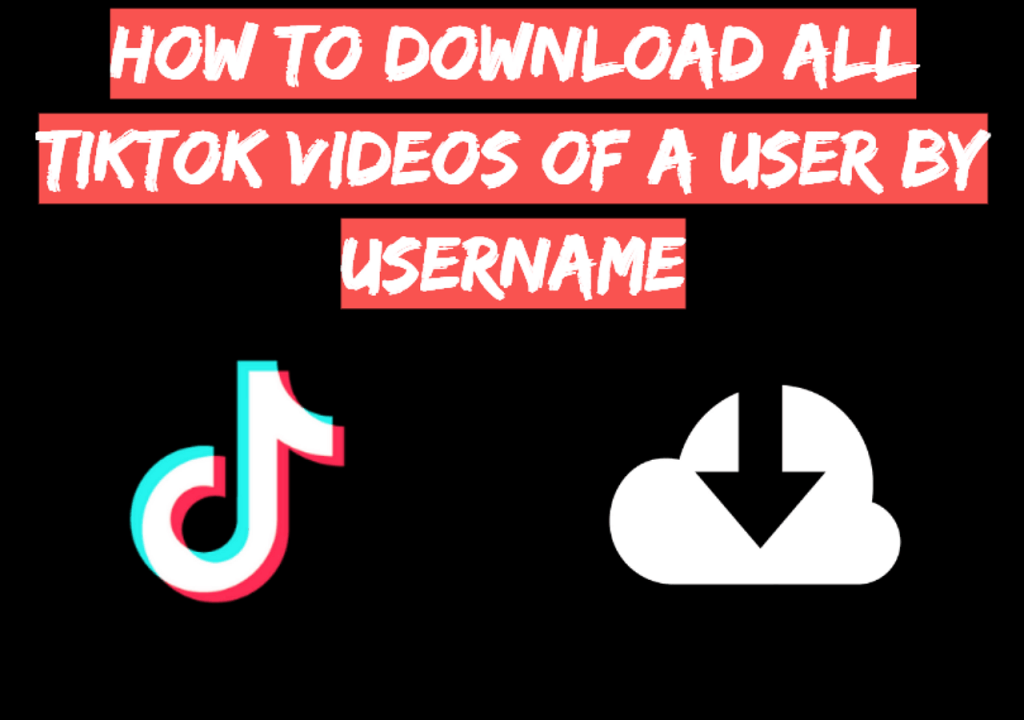 Download TikTok Videos
