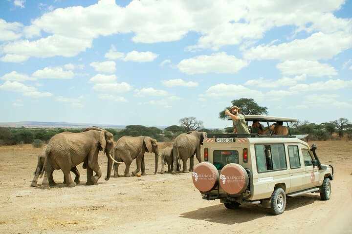 Africa Tours